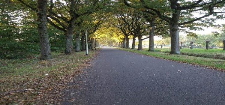 Wat doet het jaargetijde herfst met je? Wat doet het jaargetijde herfst met je?