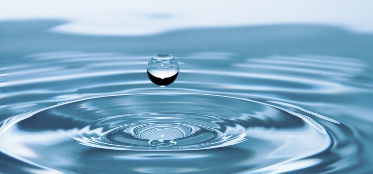 Water…. noodzaak om te drinken? Water…. noodzaak om te drinken?