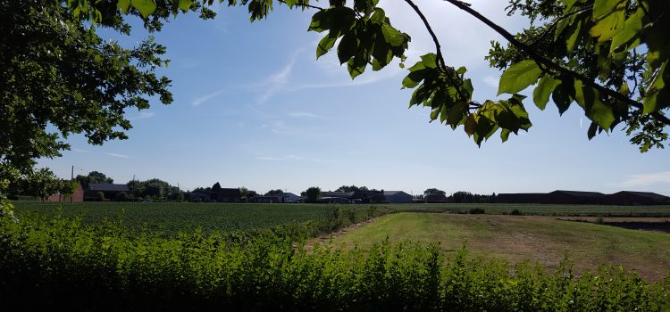 Wat is een perfecte vakantie? Wat is een perfecte vakantie?